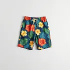 Tropical Boardshorts