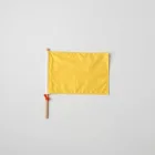 Surfing Rescue Signal Flags