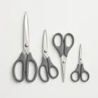 Scissors Set