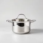 Stainless Steel Cooking Pot