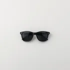 Shoreline Sunglasses