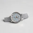 Stainless Steel Mesh Watch