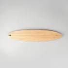 Shoreline Surf Paddle