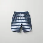 Sporty Striped Shorts
