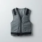 Safety Snowboard Vest