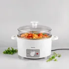 Electric Food Steamer