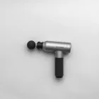 Stonefield Select Massage Gun — 4kg