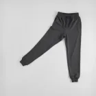Graphite Joggers