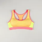 Neon Accented Sports Bra
