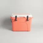 Sunset Wave Beach Cooler