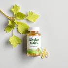 Gingko Biloba Extract