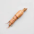 Ginseng