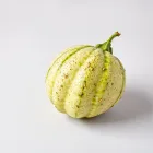 Bitter Melon