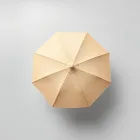 Sandbar Beach Umbrella