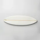 Shredder Surf Board