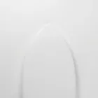 EcoFriendly Surfboard Cleaner