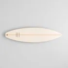 Surf Skimboard