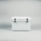 Beach Cooler for Surfers