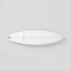 Marine Life Surfboard