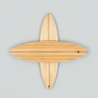 Eco Surfboard