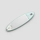 SurfTech Paddle Board