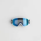 SnowVision Goggles