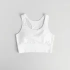 Athletic Wear Crop Top