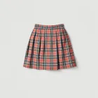 Plaid Skirt