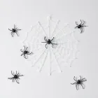 Spider Webs and Fake Spiders