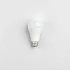 Smart WiFi Enabled LED Bulbs