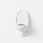 Toilet Bowl Cleaner