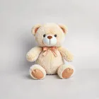 Teddy Bear Plush Toy