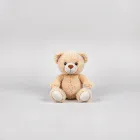 Teddy Bear Stuffed Animal