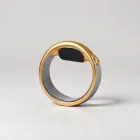 TrackFit Gold