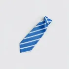 Blue Stripe Tie