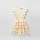 Trendy Layered Dress