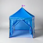 Play Tent