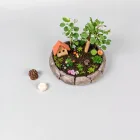Fairy Garden Kit