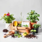 Kids Gardening Kit