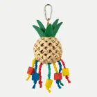 Birds Love Pineapple Toy