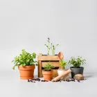 Mini Gardening Kit