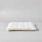 Training Pads for Dogs