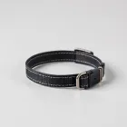 Dog Training Collar
