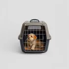 Trulux Prestige Pet Carrier — Large