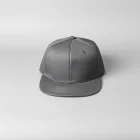 Tagger Snapback Hat