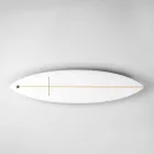 TwinFin Surfboard