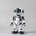 Interactive Robot Buddy