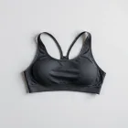 Adventurer's Sports Bra