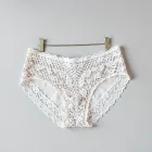 Vintage Lace Cheeky