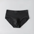 Seamless Microfiber Briefs